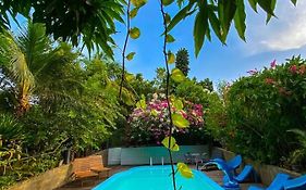 Hotel Borari