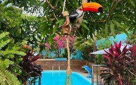 Hotel Borari